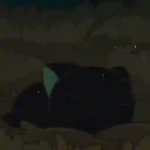 ஸ்டிக்கர்